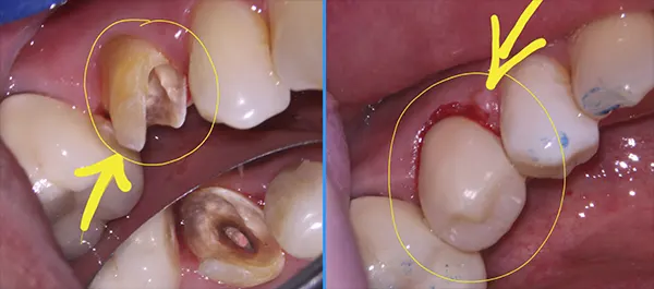 Стоматологическая клиника Al-Ter Dent